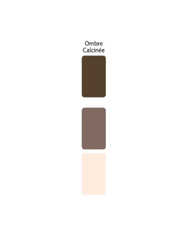 Colorant Idéacolor Richard ombre calcinée 100 ml ultra concentré