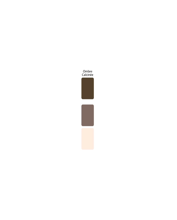 Colorant Idéacolor Richard ombre calcinée 100 ml ultra concentré
