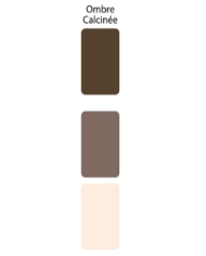 Colorant Idéacolor Richard ombre calcinée 100 ml ultra concentré