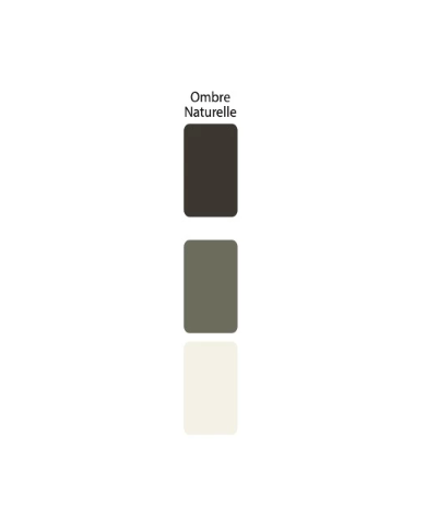 Colorant Idéacolor Richard ombre naturelle 100 ml ultra concentré