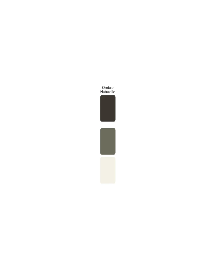 Colorant Idéacolor Richard ombre naturelle 100 ml ultra concentré