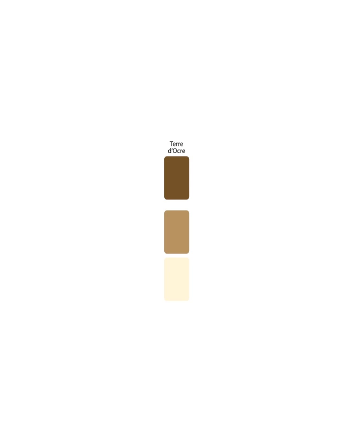 Colorant Idéacolor Richard terre d’ocre 100 ml ultra concentré