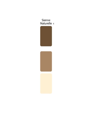 Colorant Idéacolor Richard sienne naturelle 100 ml ultra concentré