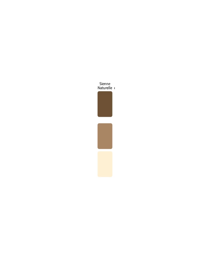 Colorant Idéacolor Richard sienne naturelle 100 ml ultra concentré