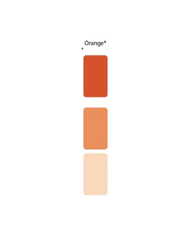 Colorant Idéacolor Richard orange 100 ml ultra concentré