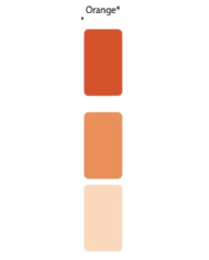 Colorant Idéacolor Richard orange 100 ml ultra concentré