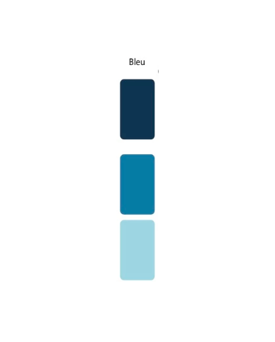 Colorant Idéacolor Richard bleu 100 ml ultra concentré