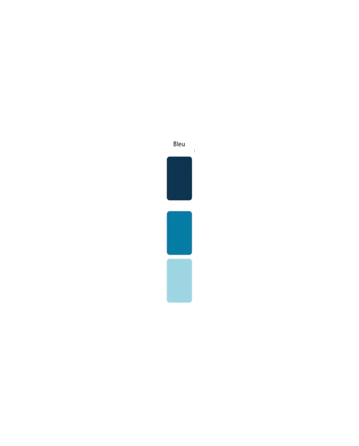 Colorant Idéacolor Richard bleu 100 ml ultra concentré