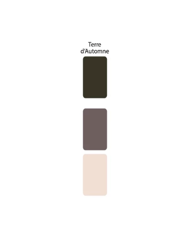 Colorant Idéacolor Richard terre d’automne 100 ml ultra concentré