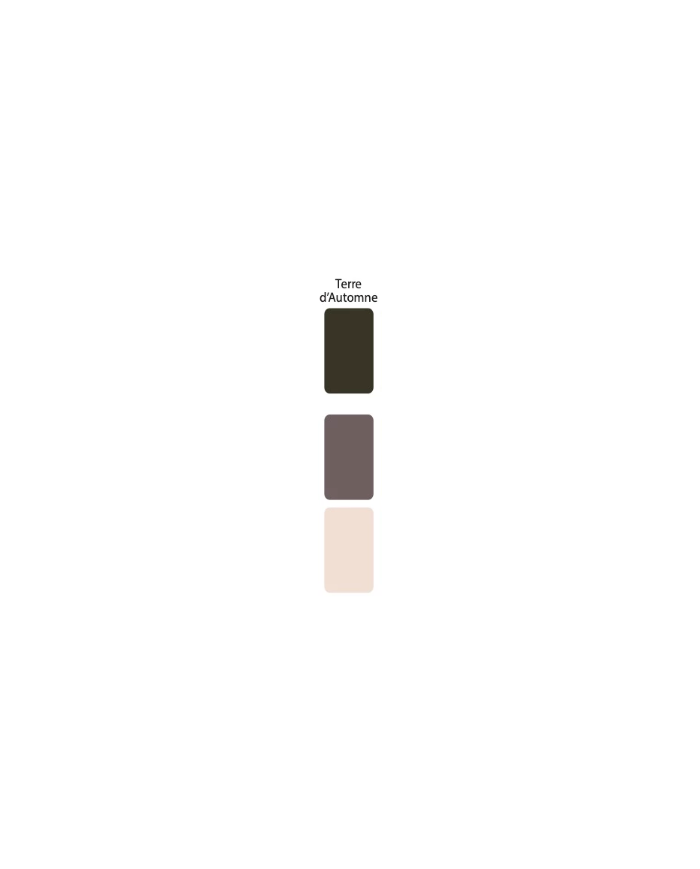 Colorant Idéacolor Richard terre d’automne 100 ml ultra concentré