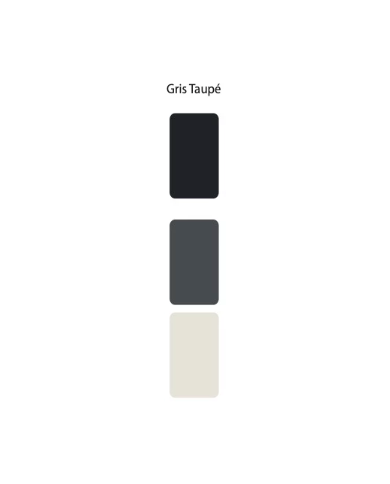 Colorant Idéacolor Richard gris taupé 100 ml ultra concentré