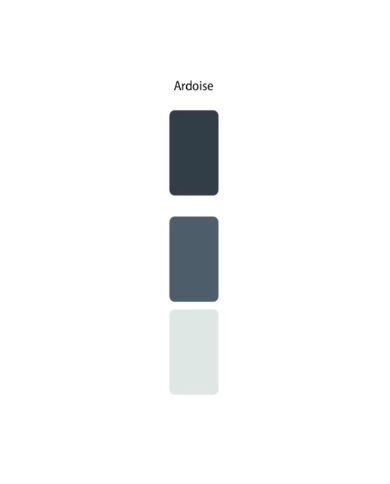 Colorant Idéacolor Richard ardoise 100 ml ultra concentré