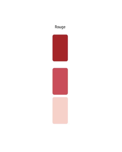 Colorant Idéacolor Richard rouge 100 ml ultra concentré