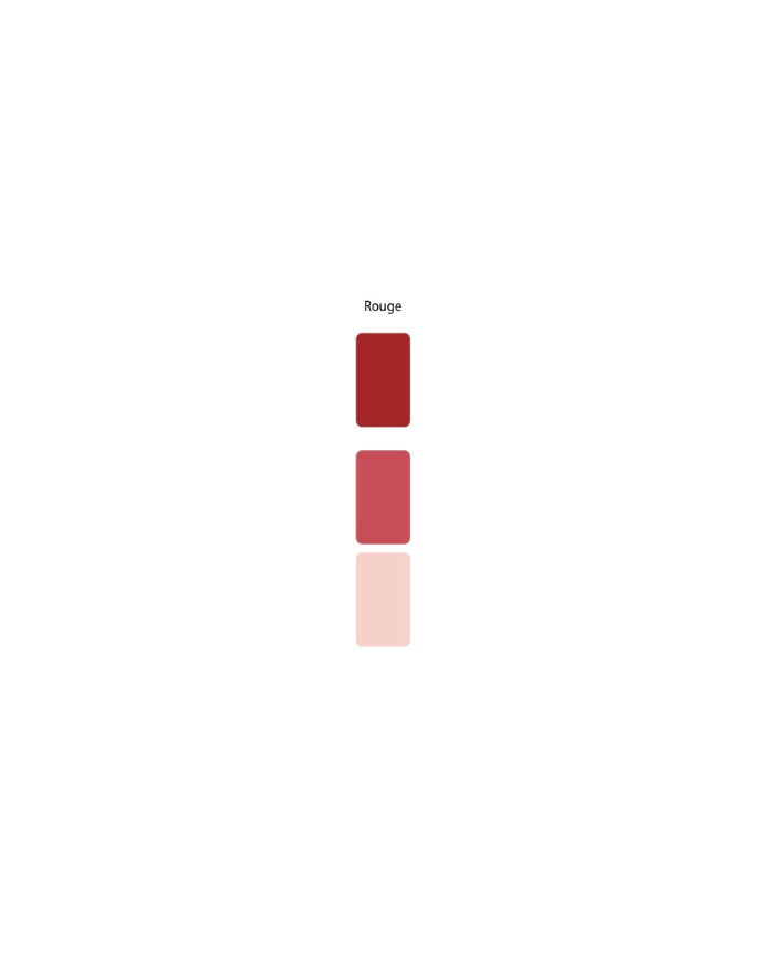 Colorant Idéacolor Richard rouge 100 ml ultra concentré