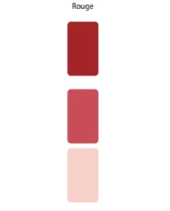 Colorant Idéacolor Richard rouge 100 ml ultra concentré