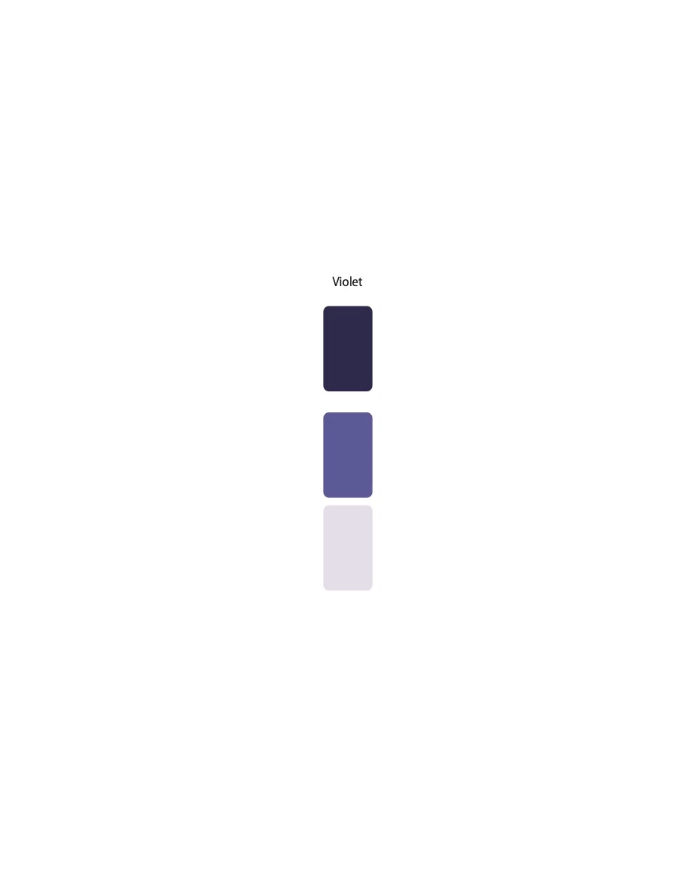 Colorant Idéacolor Richard violet 100 ml ultra concentré