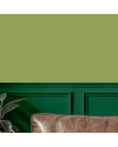 Colorant Idéacolor Richard oxyde vert 100 ml ultra concentré
