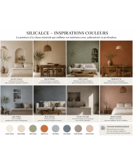 SILICALCE – Peinture minérale à la chaux intérieure et extérieure, ultra respirante