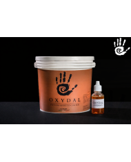 OXYDAL OSSIDANTE – Peinture effet rouille Corten décoratif