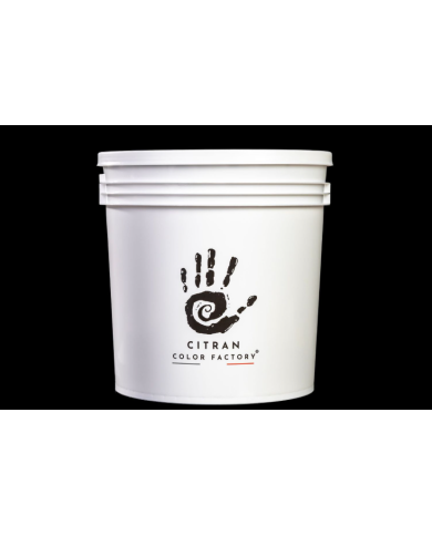 PU PROTECTION – Vernis polyuréthane satiné intérieur 1kg