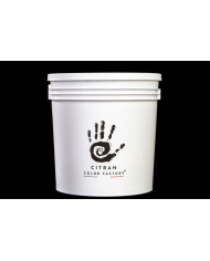 PU PROTECTION – Vernis polyuréthane satiné intérieur 1kg