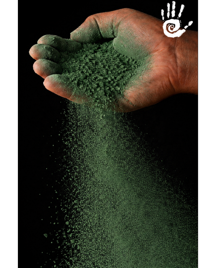 Pigment Vert Wagon 250 gr – Pigment chaux pour enduits décoratifs