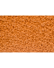 Truelle éponge CO.ME 210x130 mm – mousse orange manche ABS